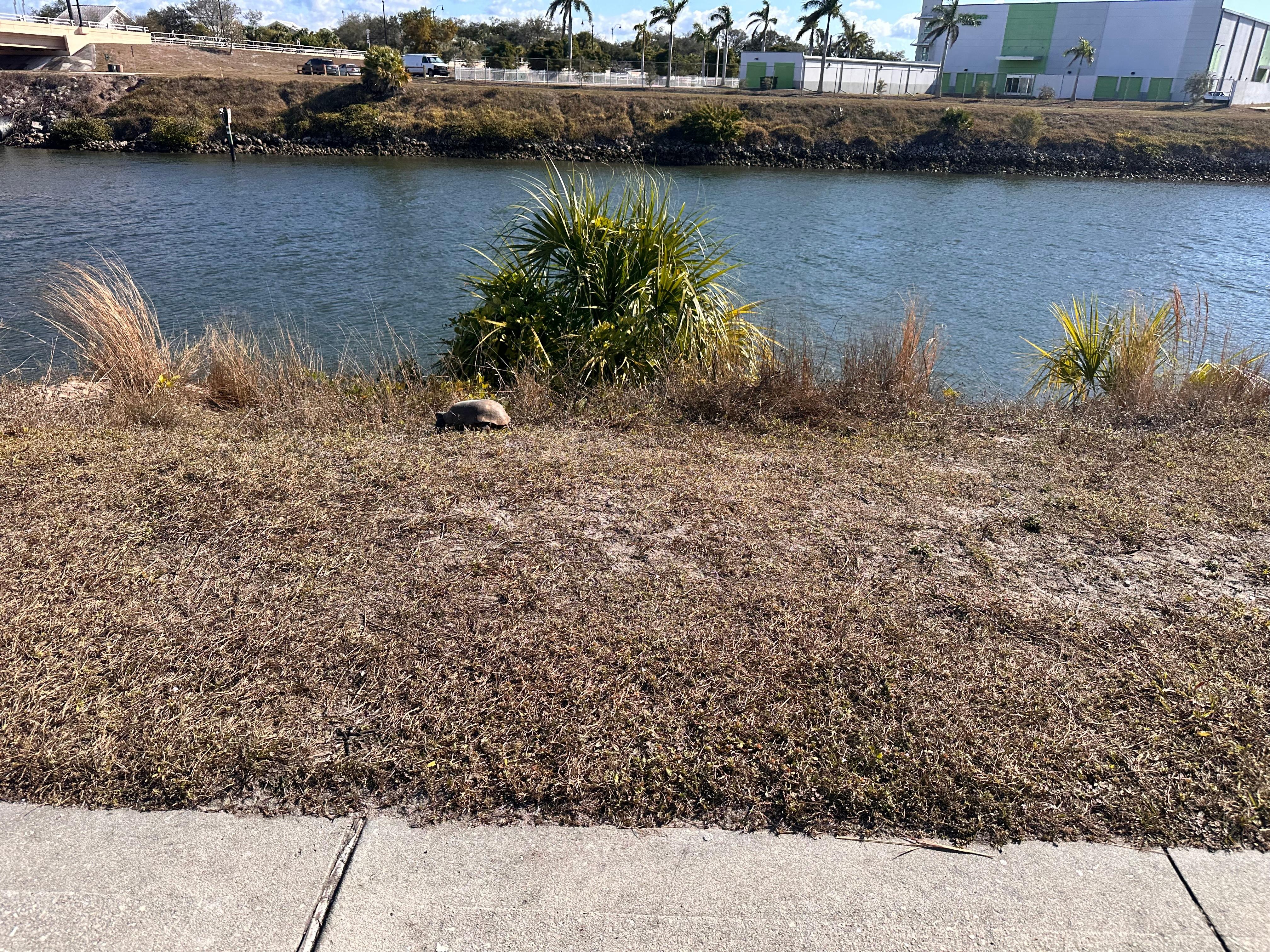 Lovely bike-walking trail near by. 