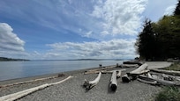 Point Defiance Park and Owen Beach.