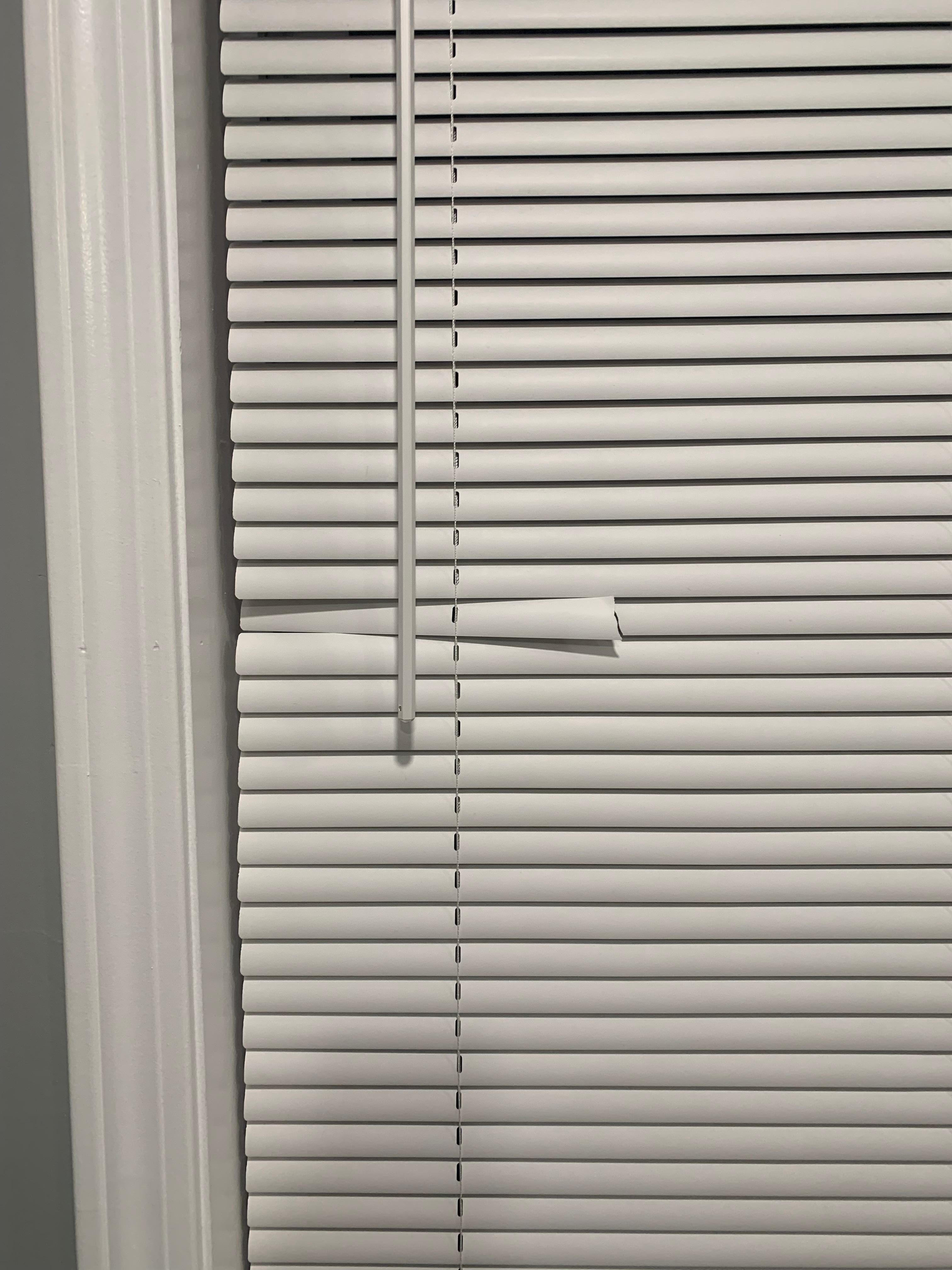 Broken blinds living room 