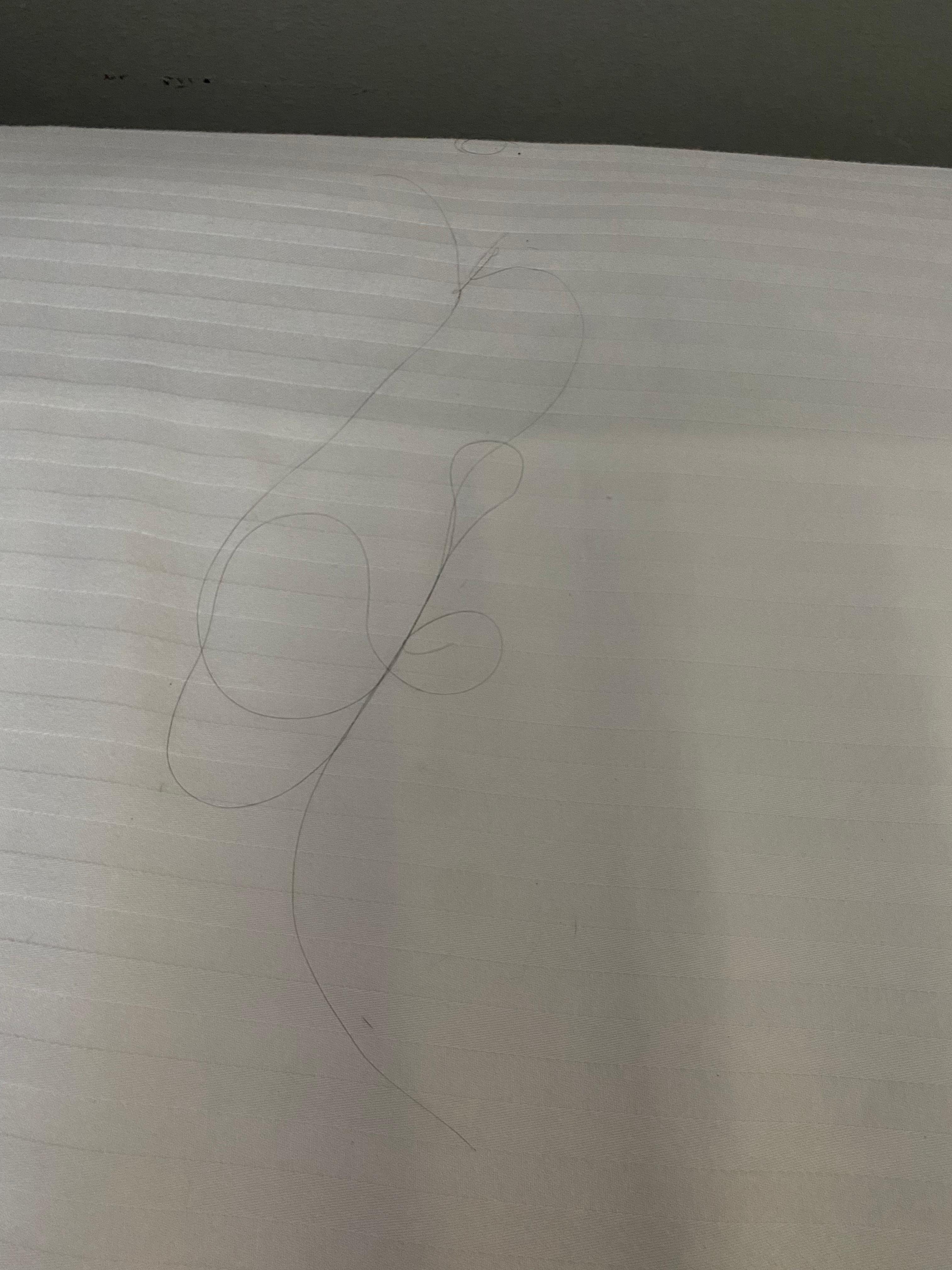 Black hairs. I’m blonde. 