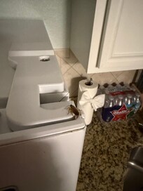 Alive roach crawling on the fridge and counter. 🪳