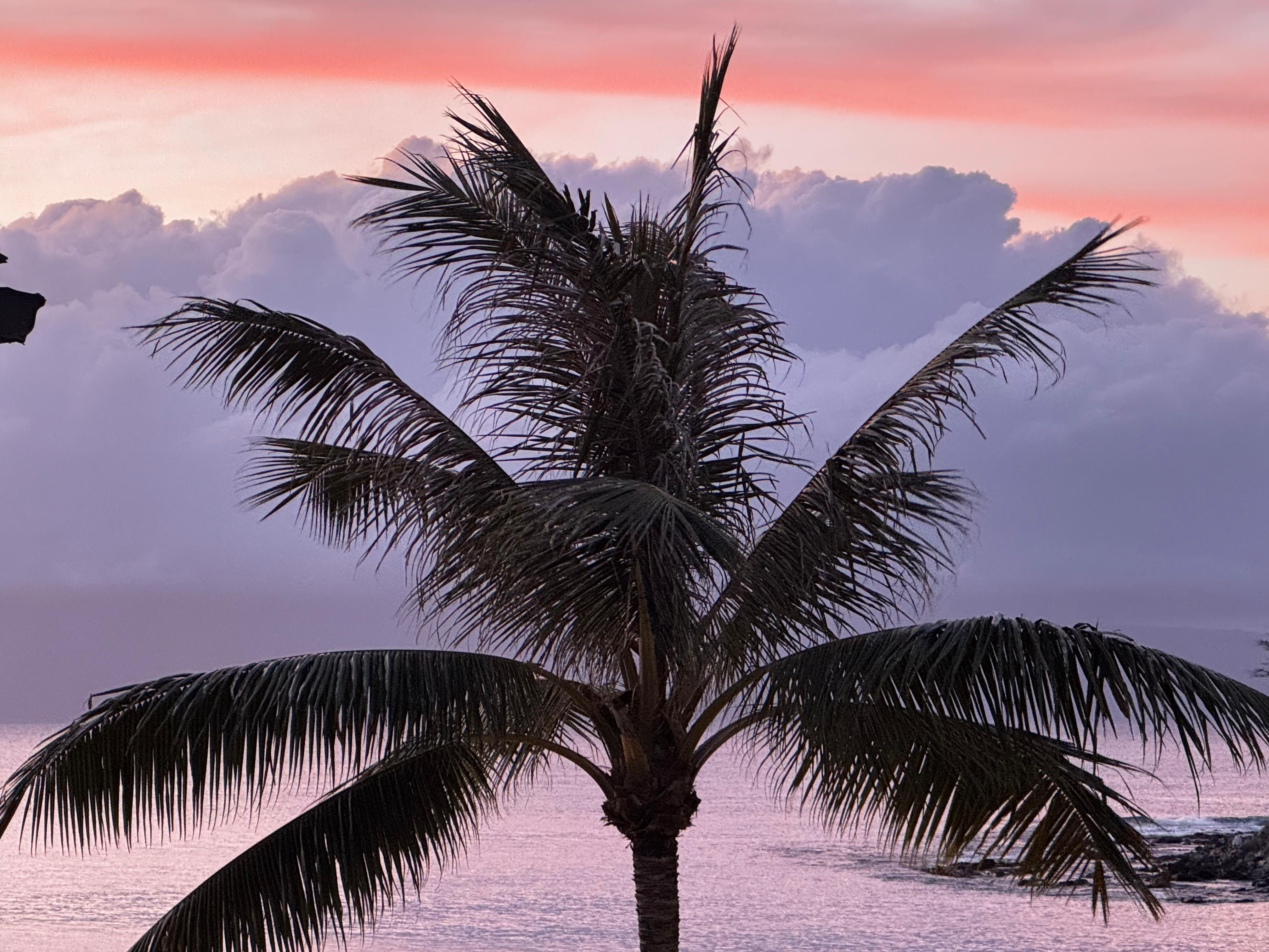 Another end to another beautiful day in Honokeana Cove!  View from the lanai.