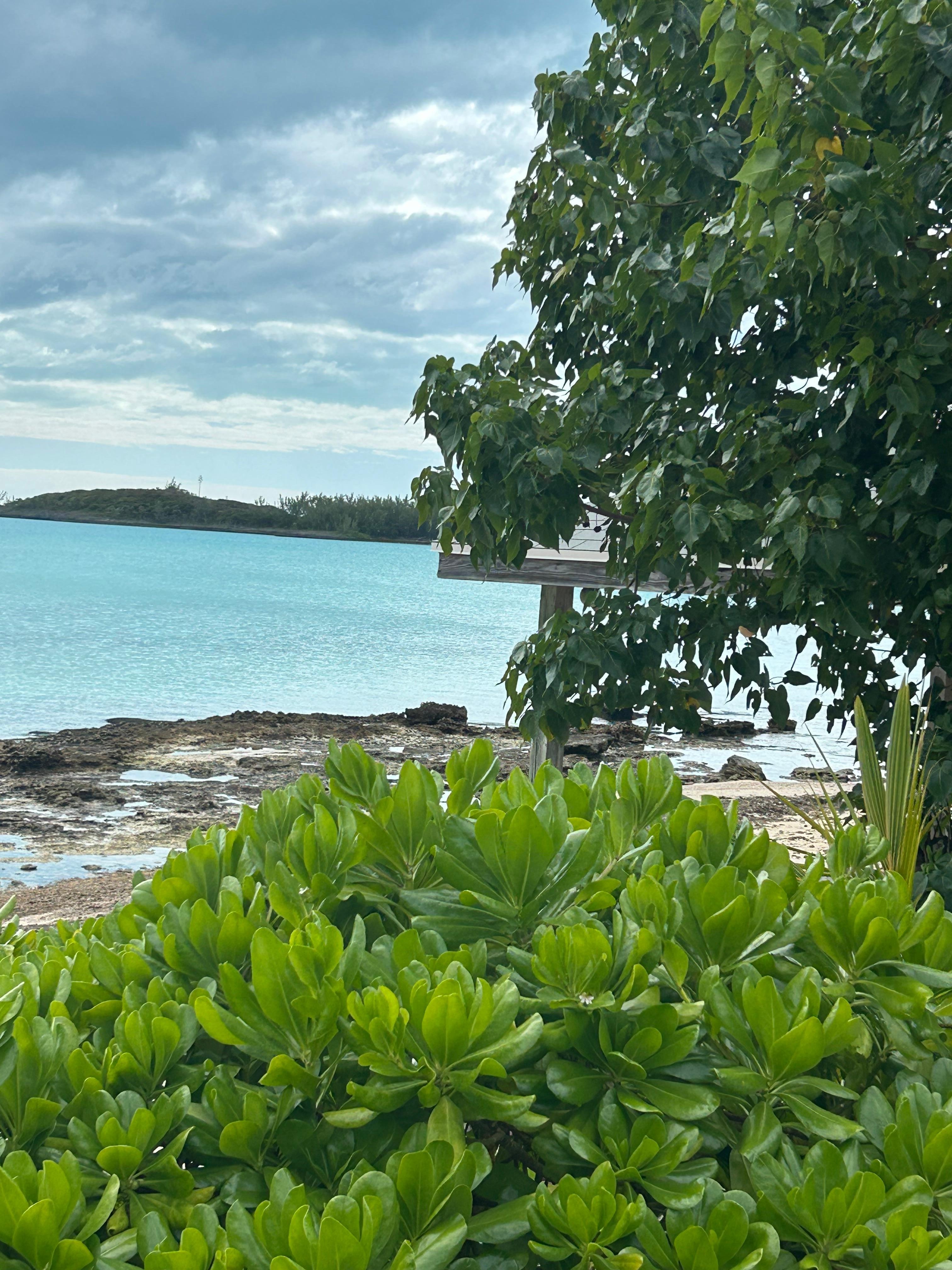 From the stone porch 
