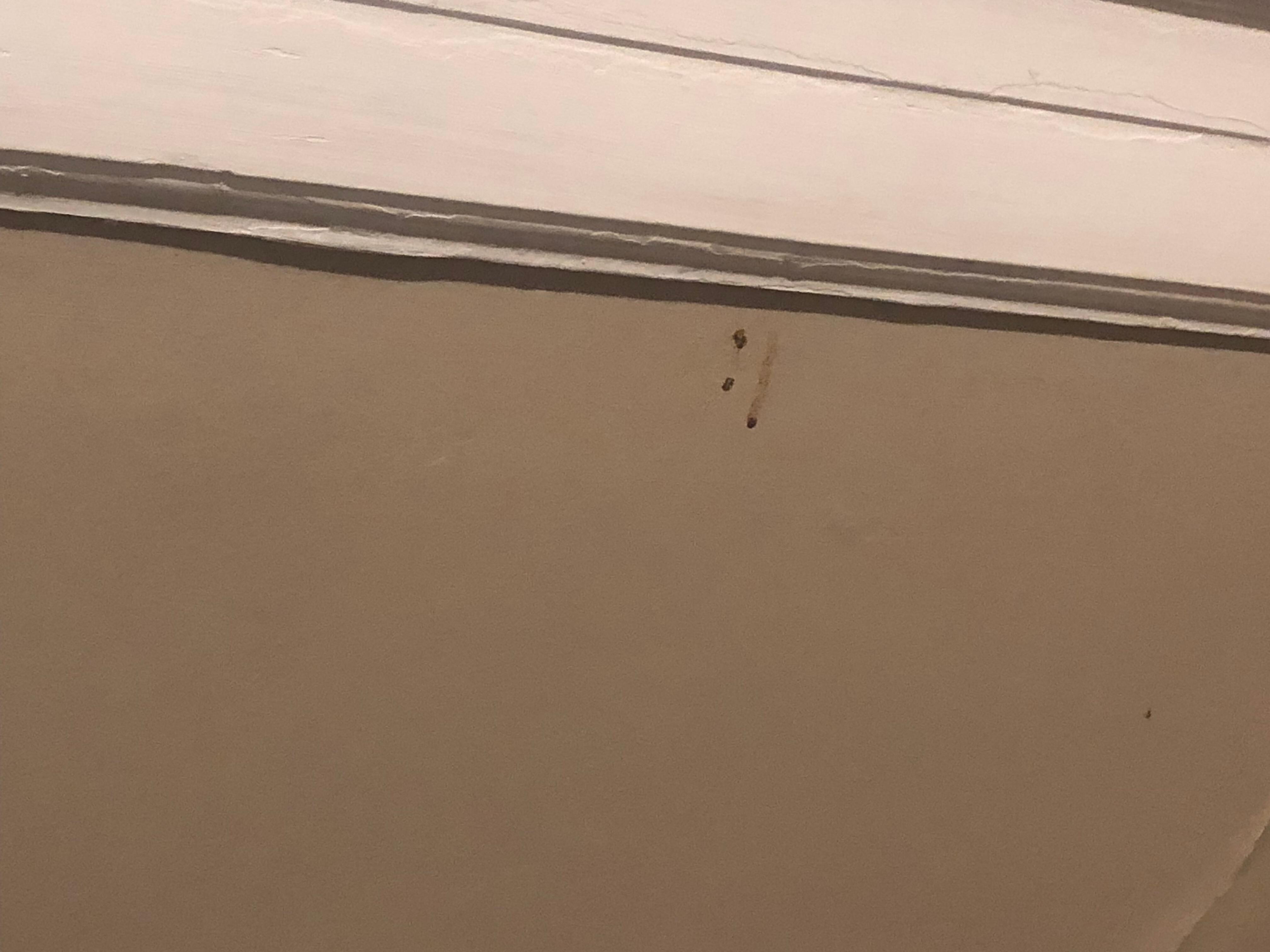 Underneath window in bedroom