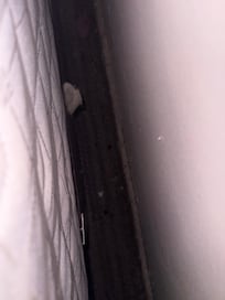 Between wall and bed. Bugs, hair, dirt, GROSS