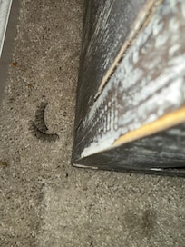 Eyelashes next to nightstand in queen bedroom