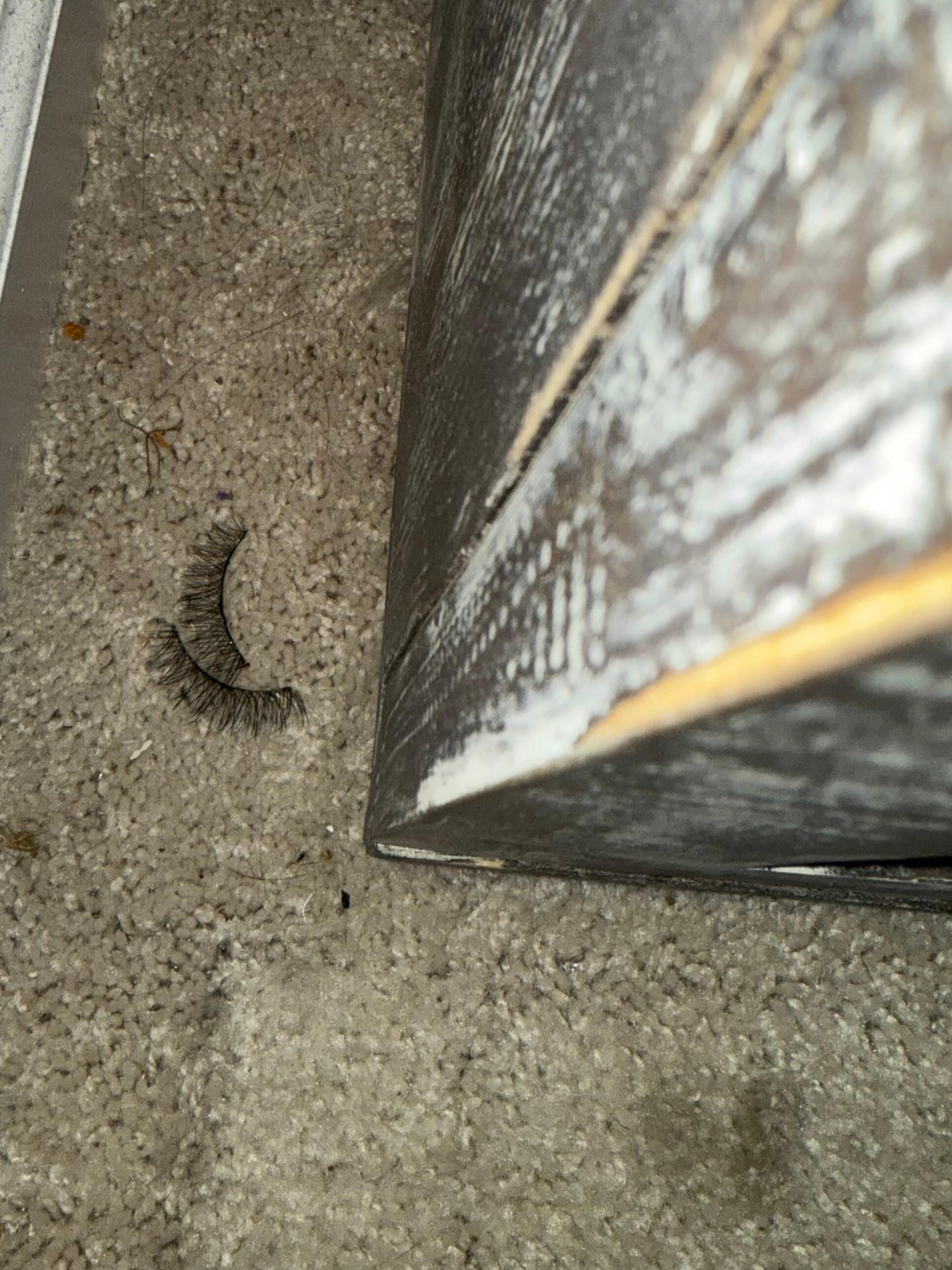 Eyelashes next to nightstand in queen bedroom