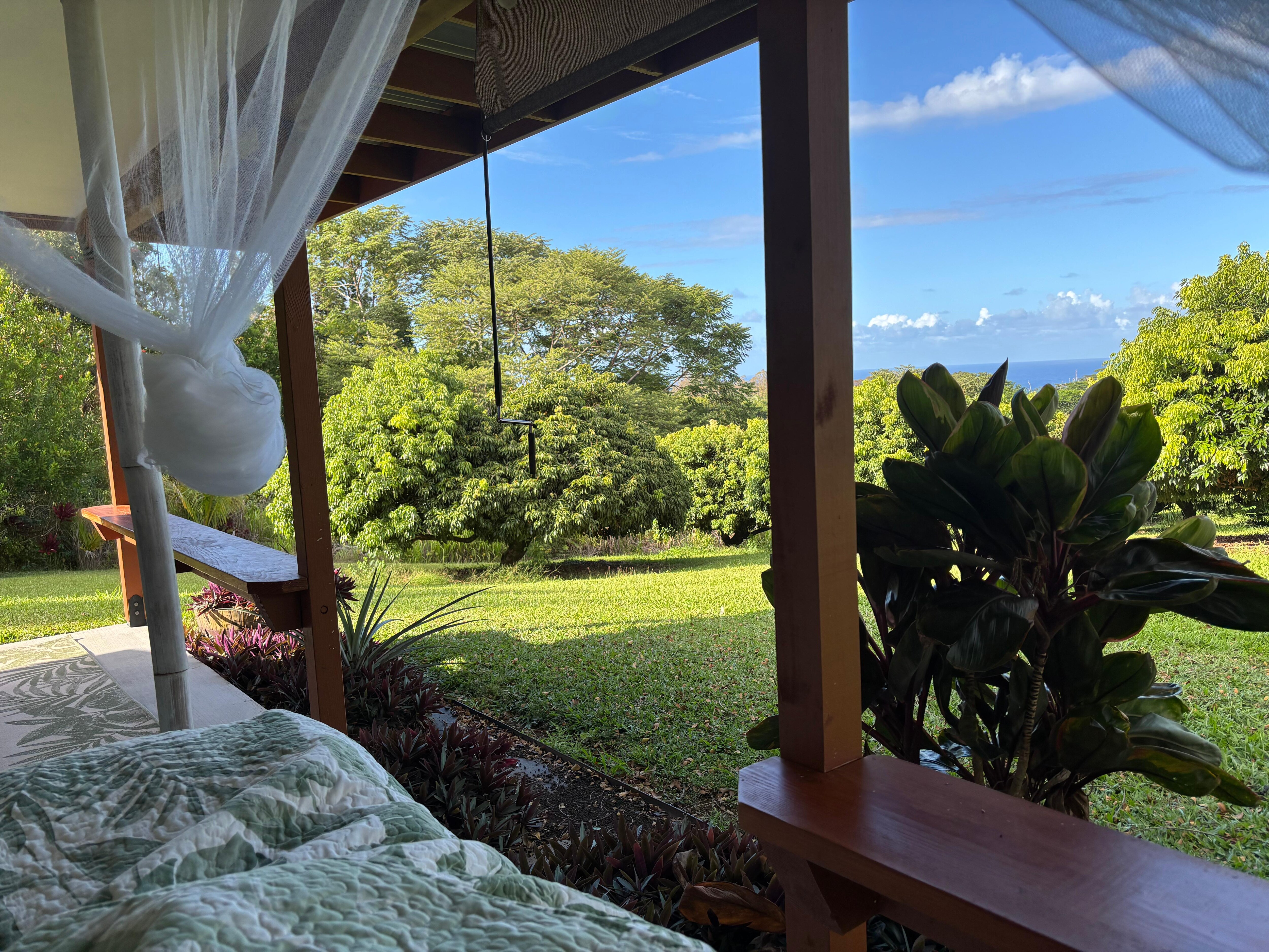 Relaxing on the lanai hanging bed and bird watching