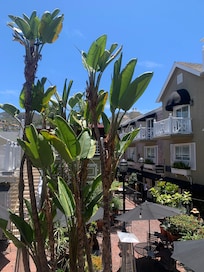 Courtyard at Hotel