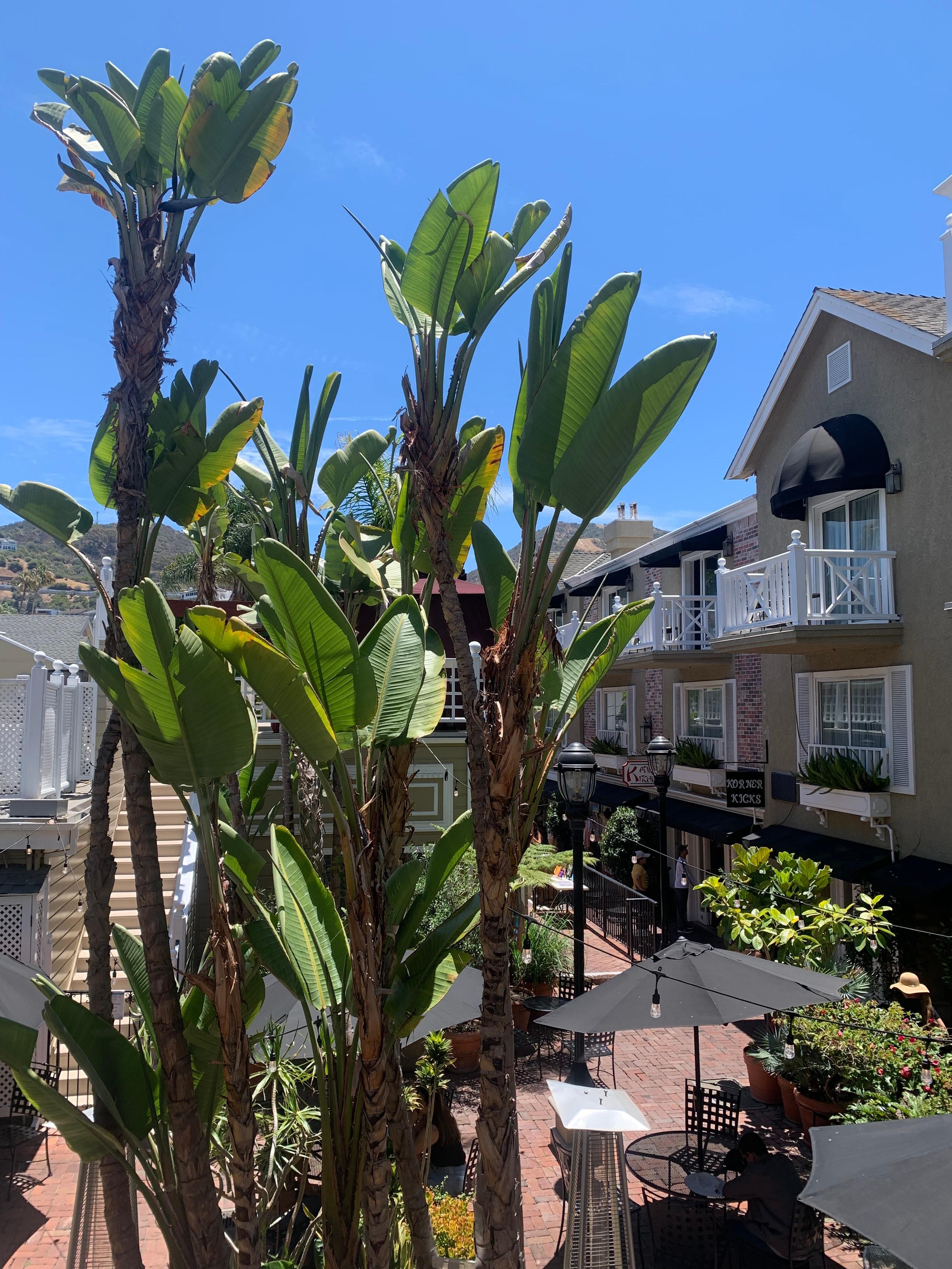 Courtyard at Hotel