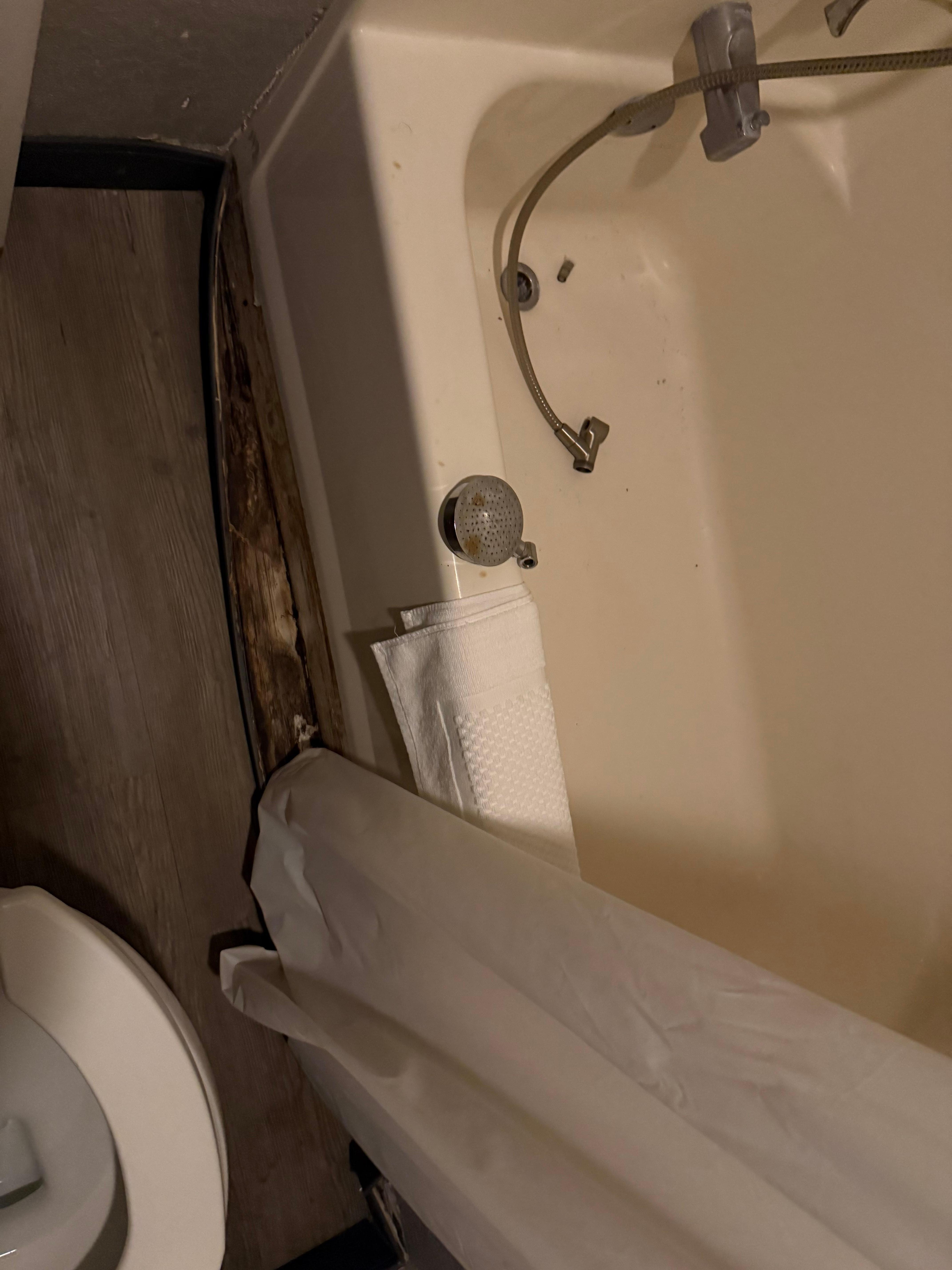 Obviously can’t use the shower that’s in pieces.