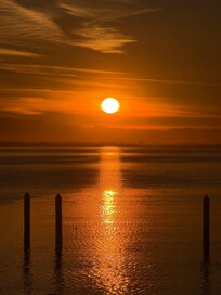 Early morn view from the room