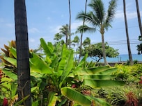 View from the lanai
