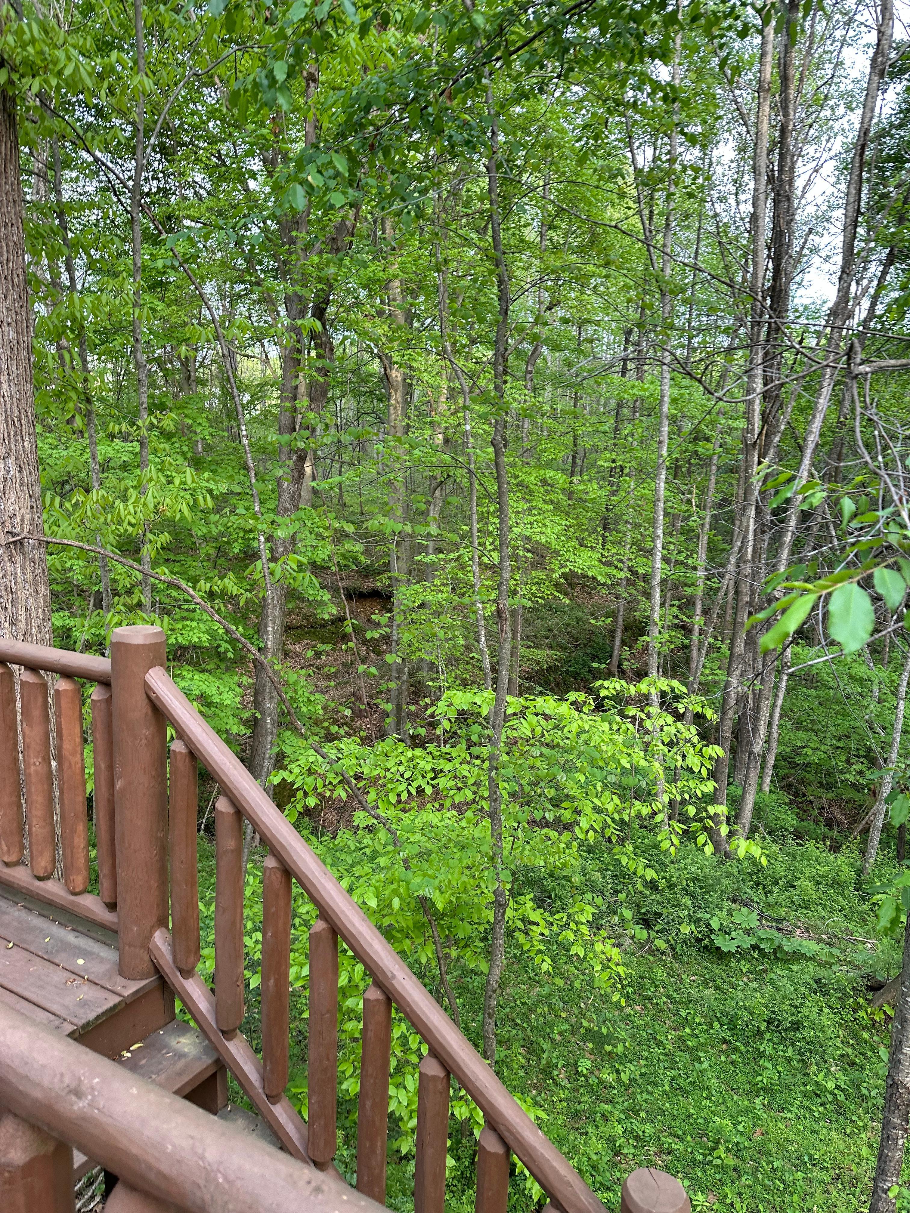 Beautiful view from the back deck