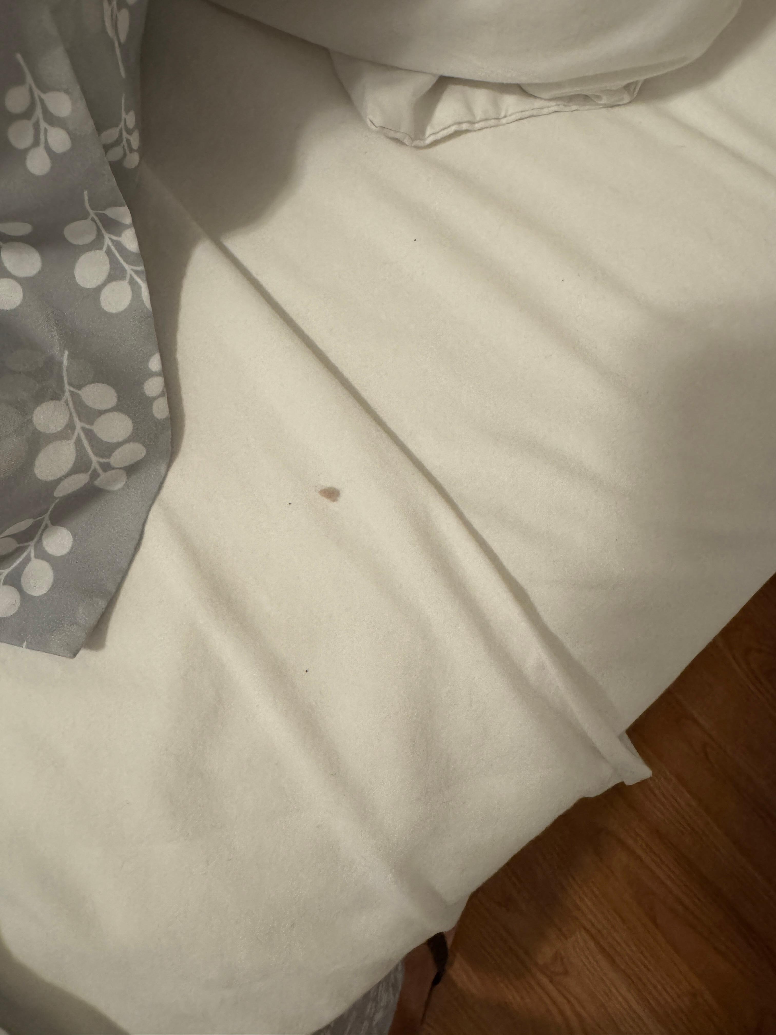 Dirt/debris on sheets