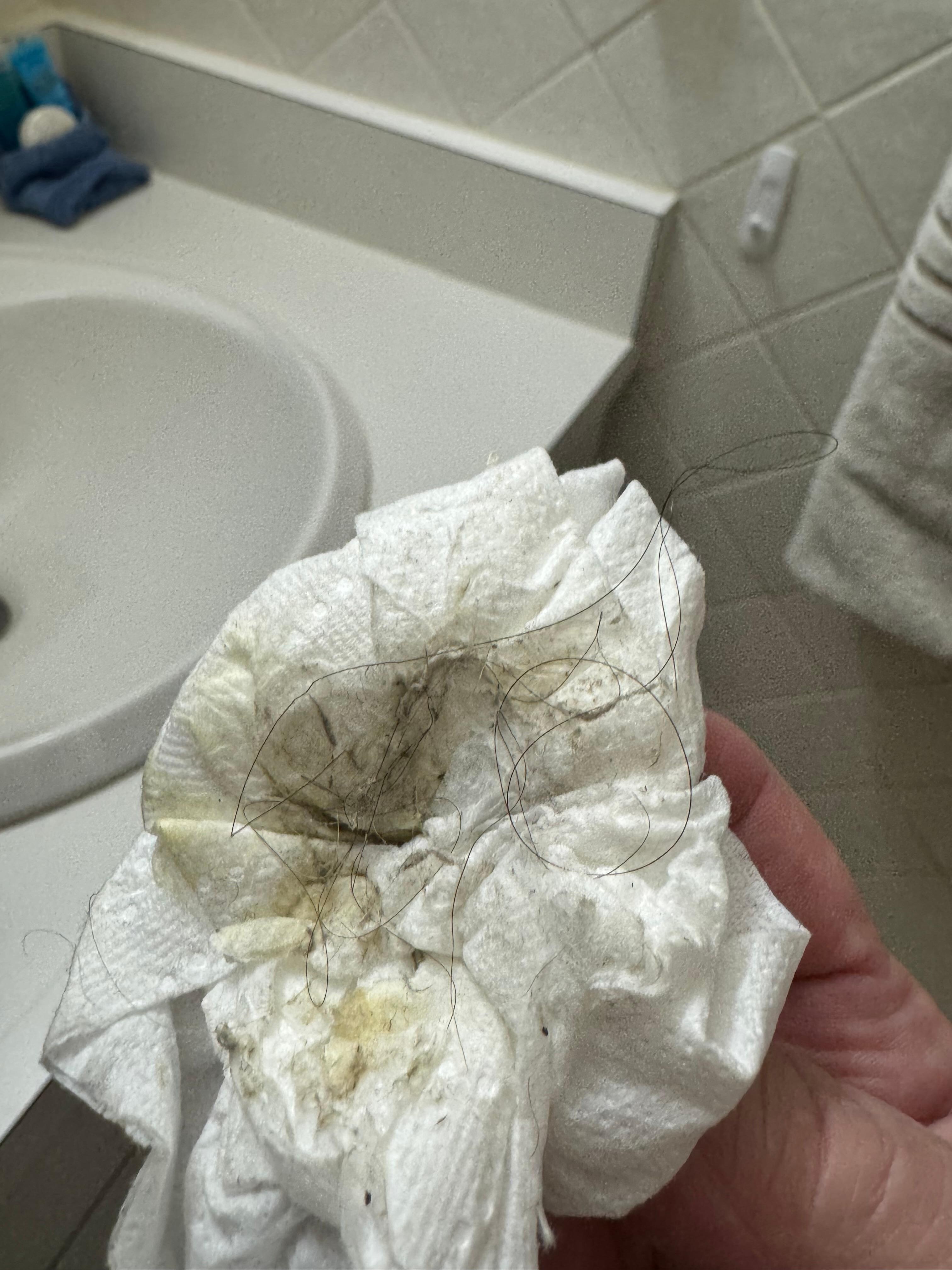 Pee and hair around toilet in the bathroom 
