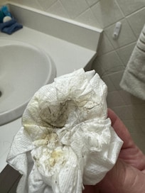 Pee and hair around toilet in the bathroom
