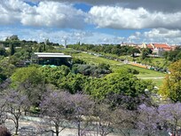 Rooftop from the pool