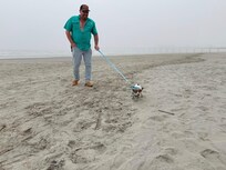 Folly is a Dog friendly beach!