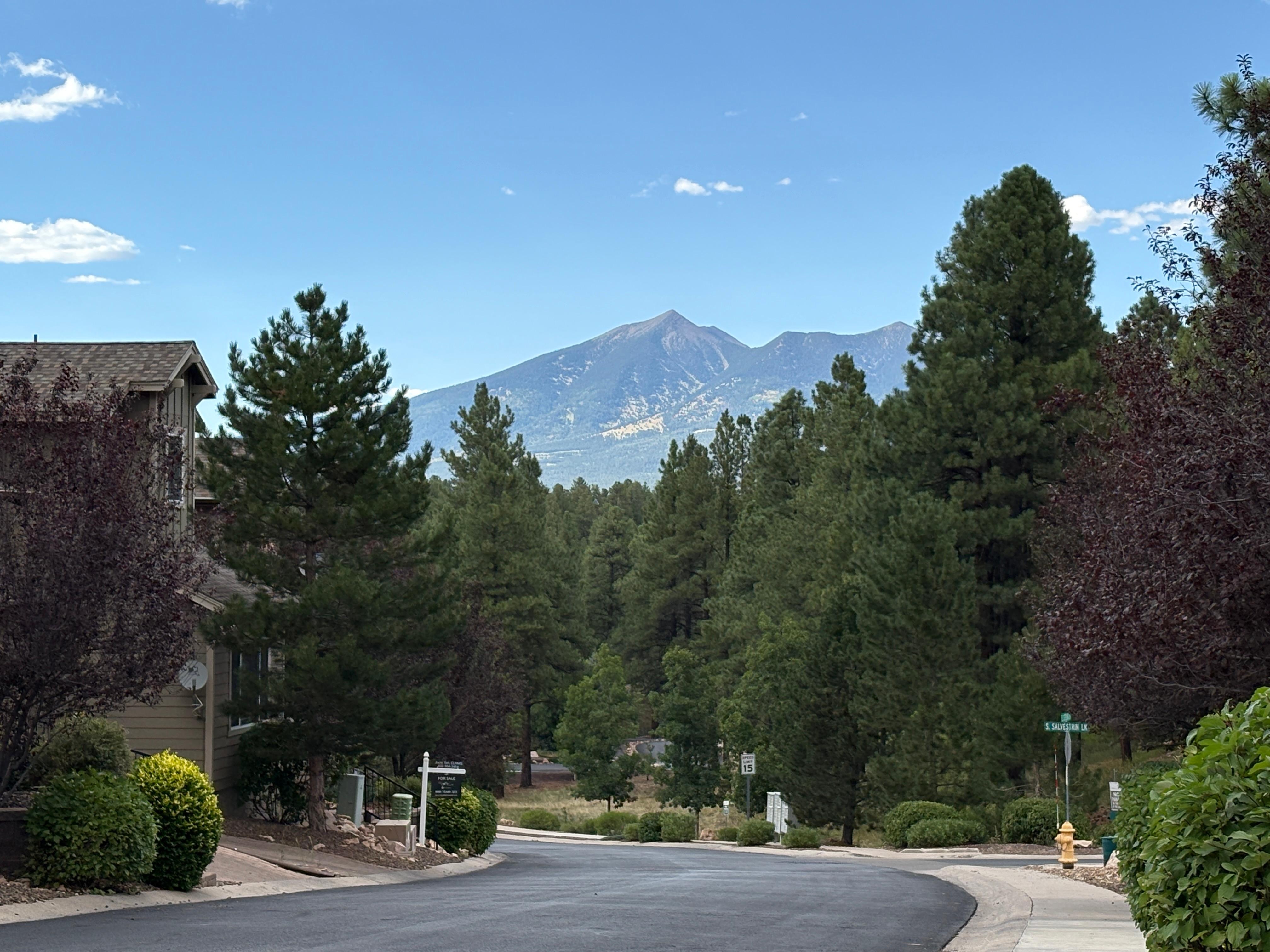 View of the San Francisco Peaks as seen from the street in front of the home