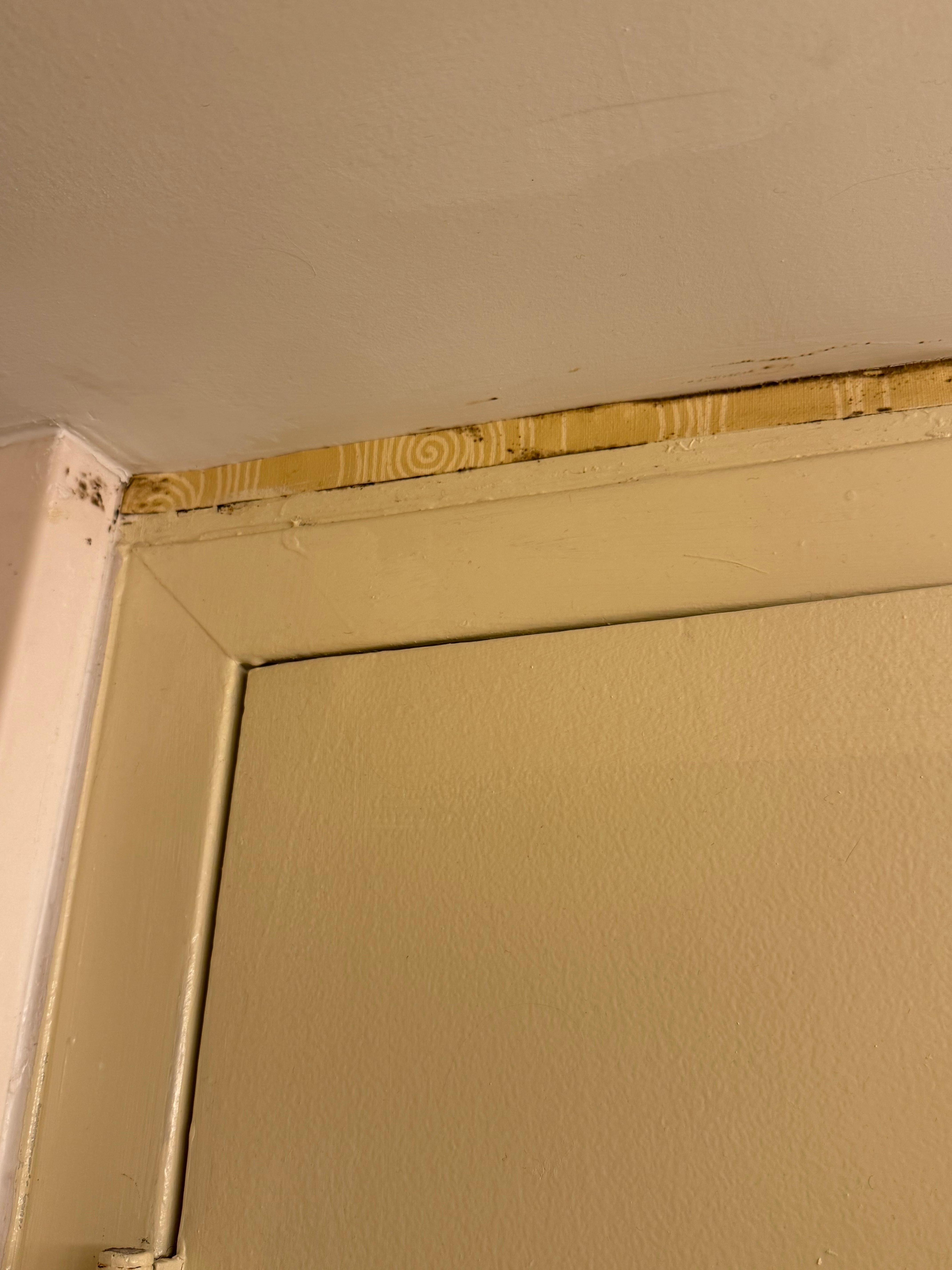 Rust and old wallpaper is starting to come off 