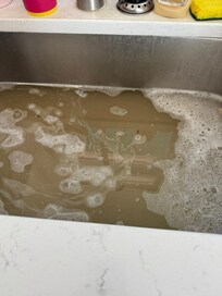 Sink would not drain. I had to wait for 20 minutes for this water to go down. No disposals and we made sure we emptied our plates in trash.