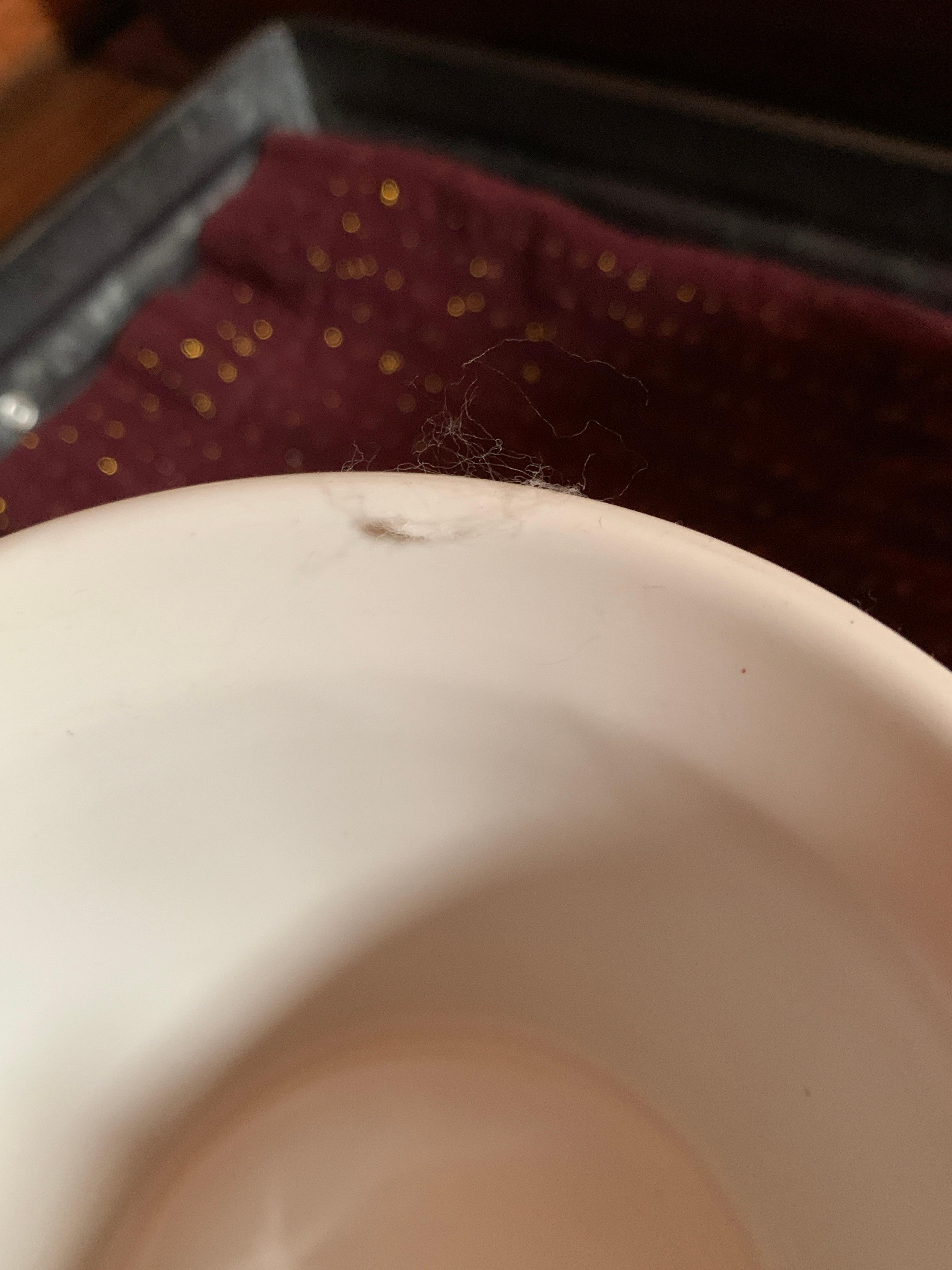 Cobweb and dust on mug.