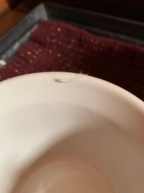 Cobweb and dust on mug.