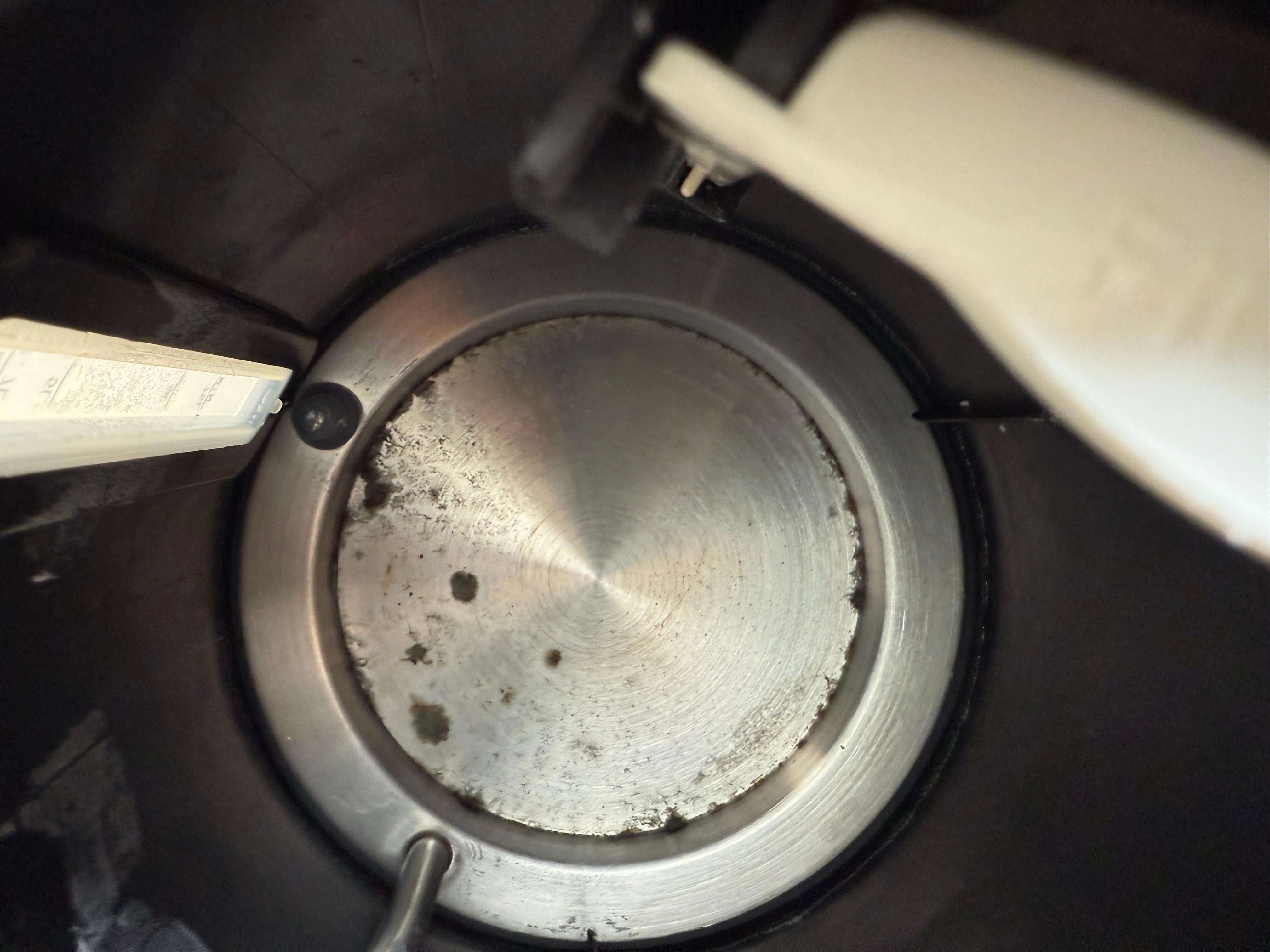 Mould was growing, not inspected for some time
