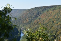 Grand Canyon of Pa