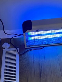 We didn’t enjoy the bug zapper and ant trap right next to the dining room table.