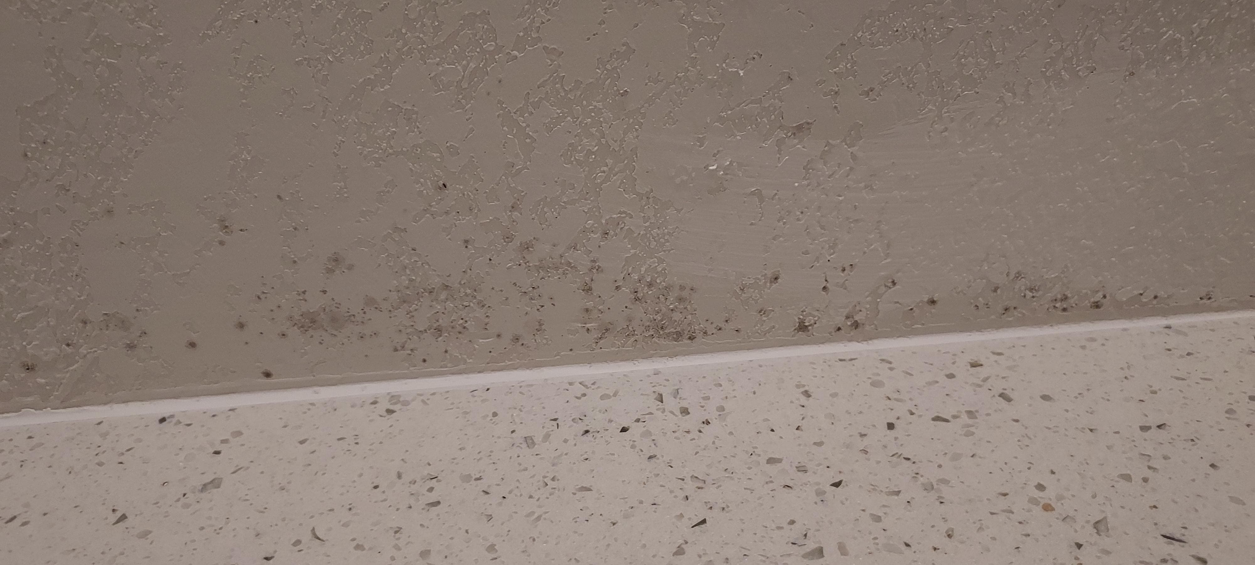 Mold on shower ceiling