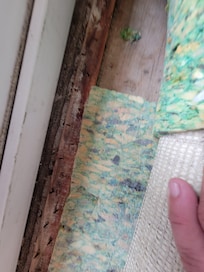 Nail strip for the carpet not attached to carpet