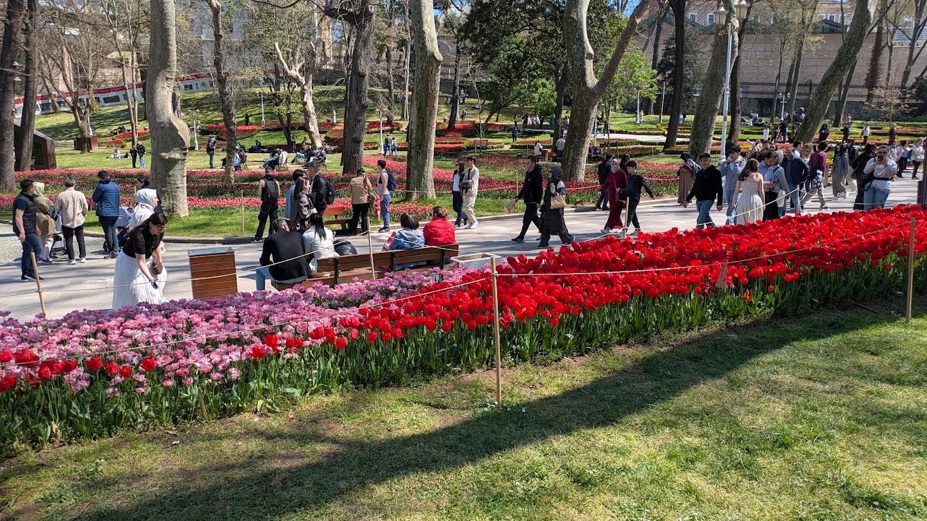 1 block away, Gulhane Park.  This is not Amsterdam. 