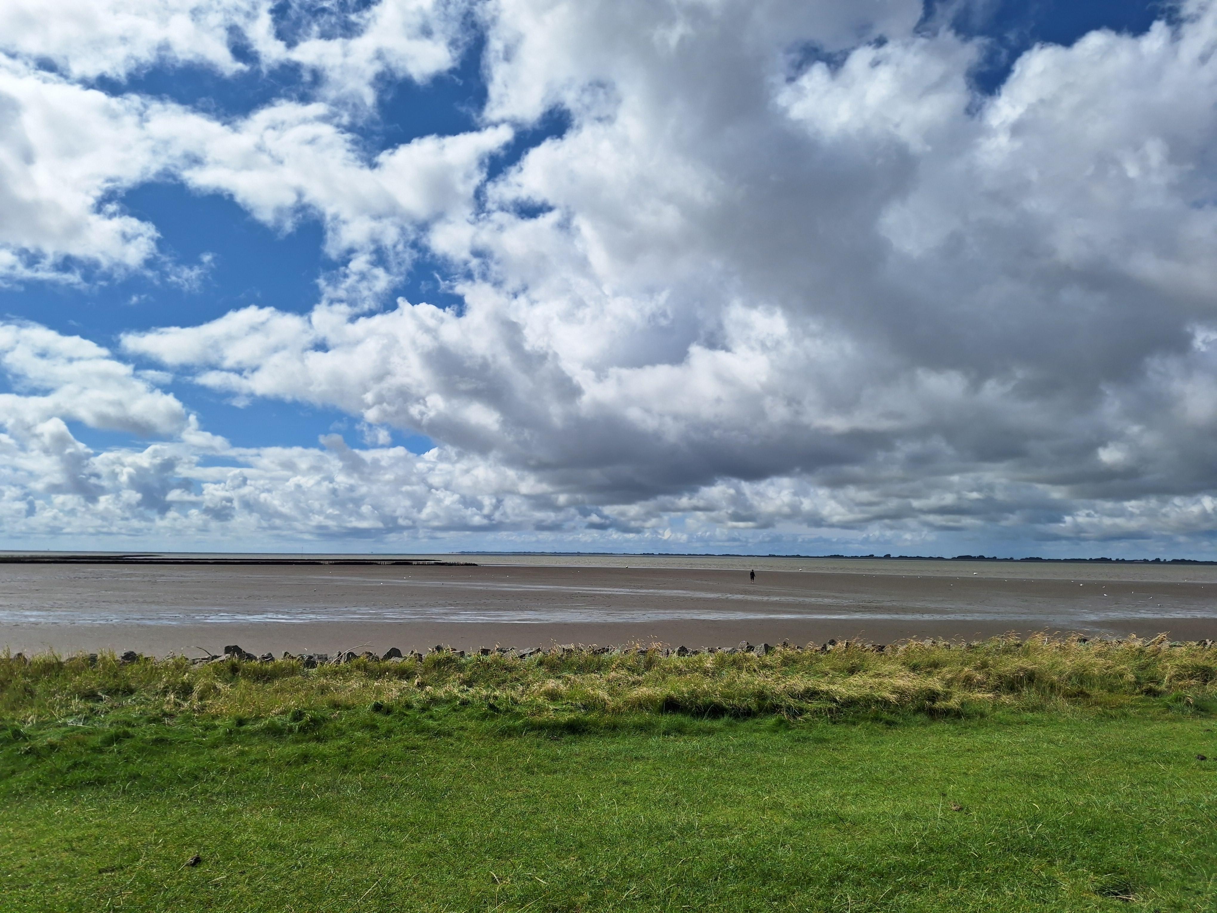 Blick aufs Watt in Wesselburenerkoog