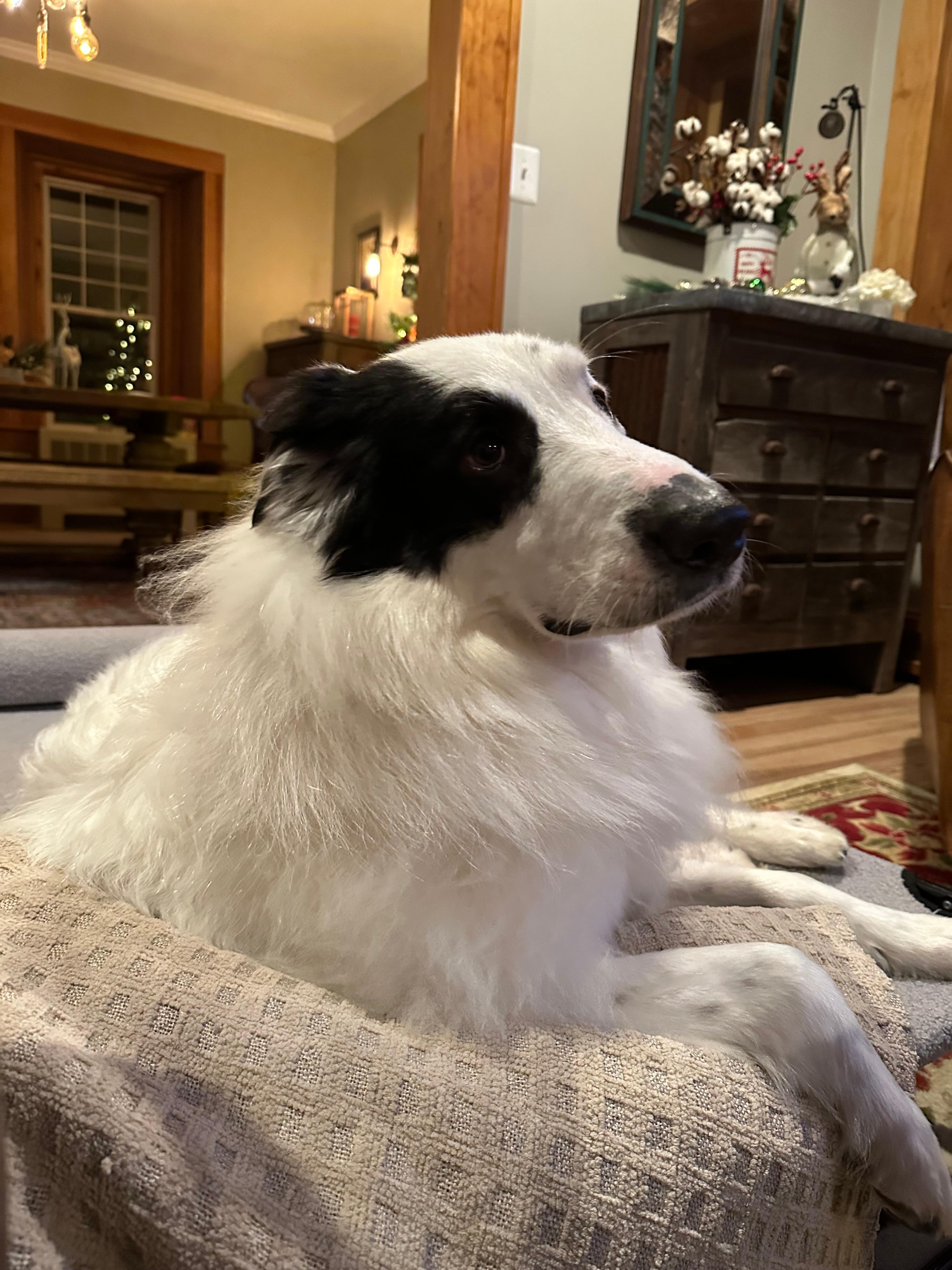 Journey’s first vacation with his family.