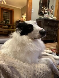 Journeyâs first vacation with his family.