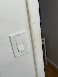 Dirty molding by the light switch