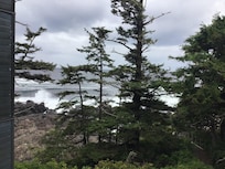 View from deck