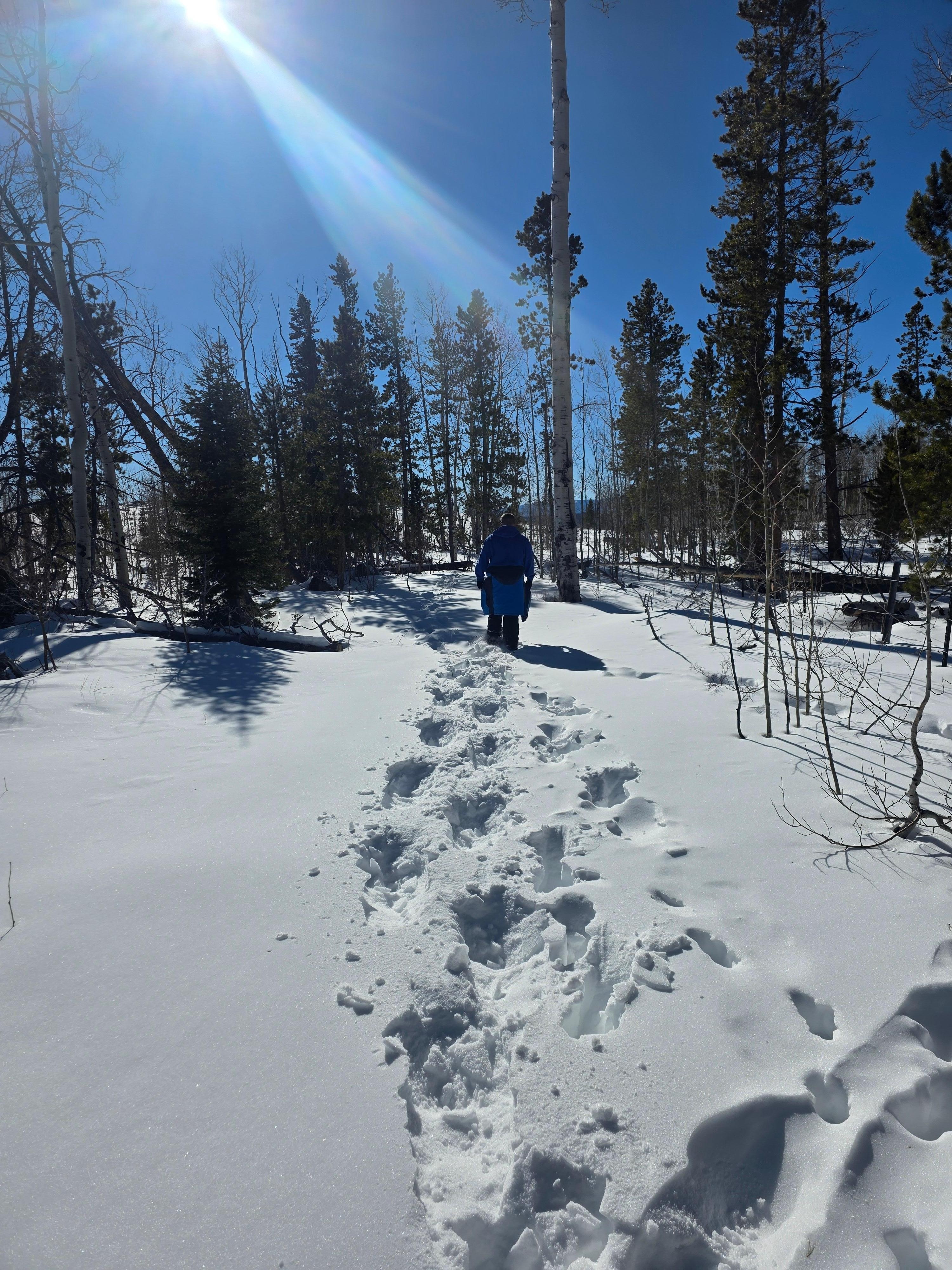 Snow shoeing 