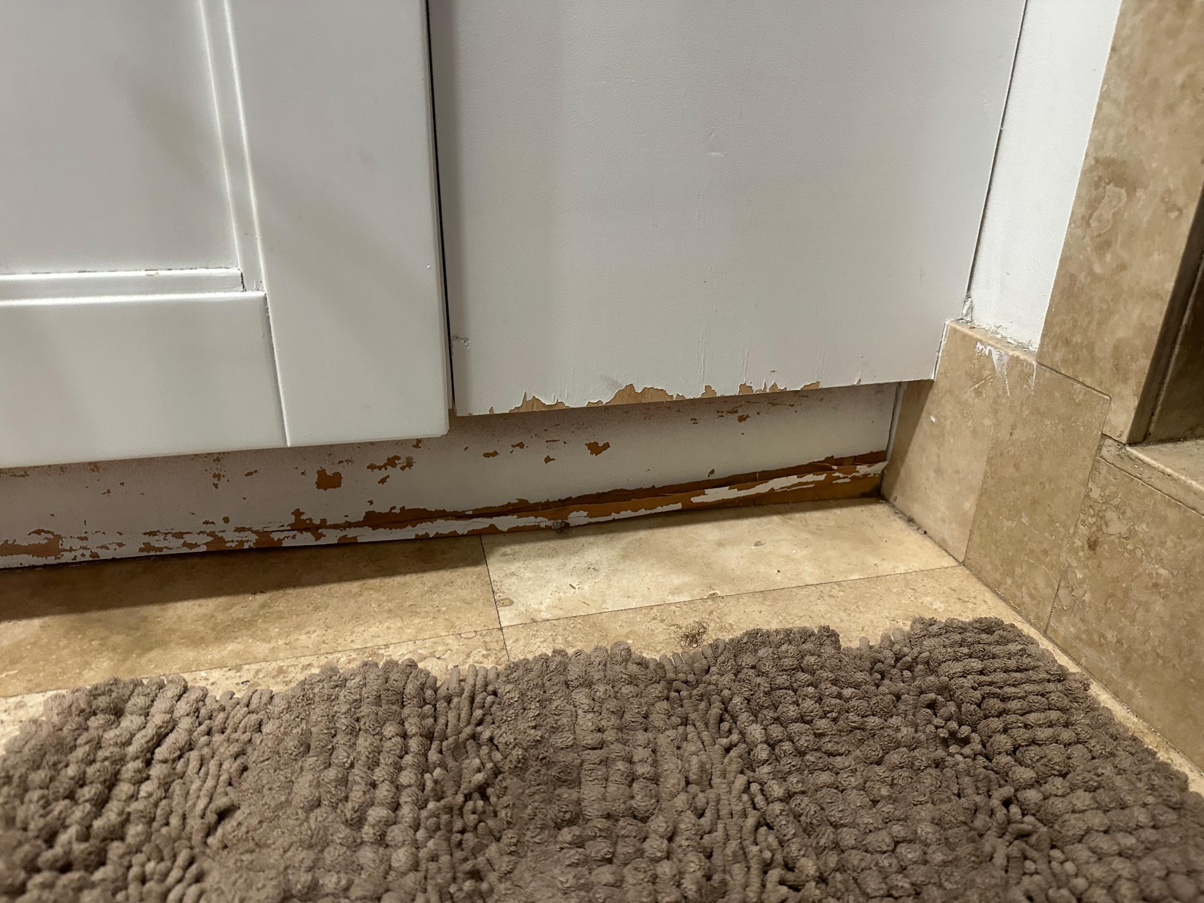 All cabinets were damaged and rotten 