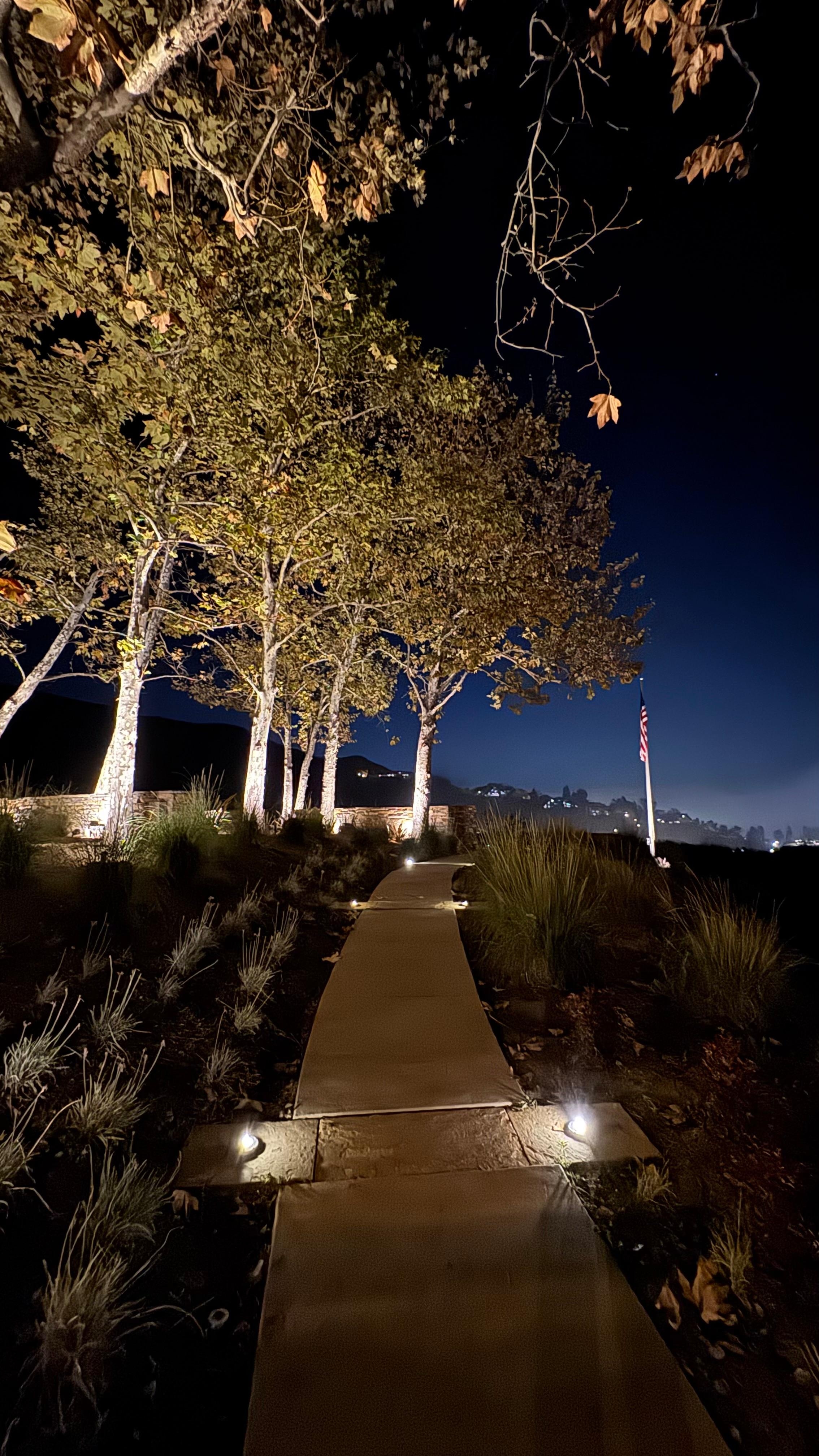 Hero’s garden at night