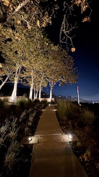 Hero’s garden at night