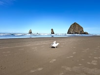 Cannon Beach