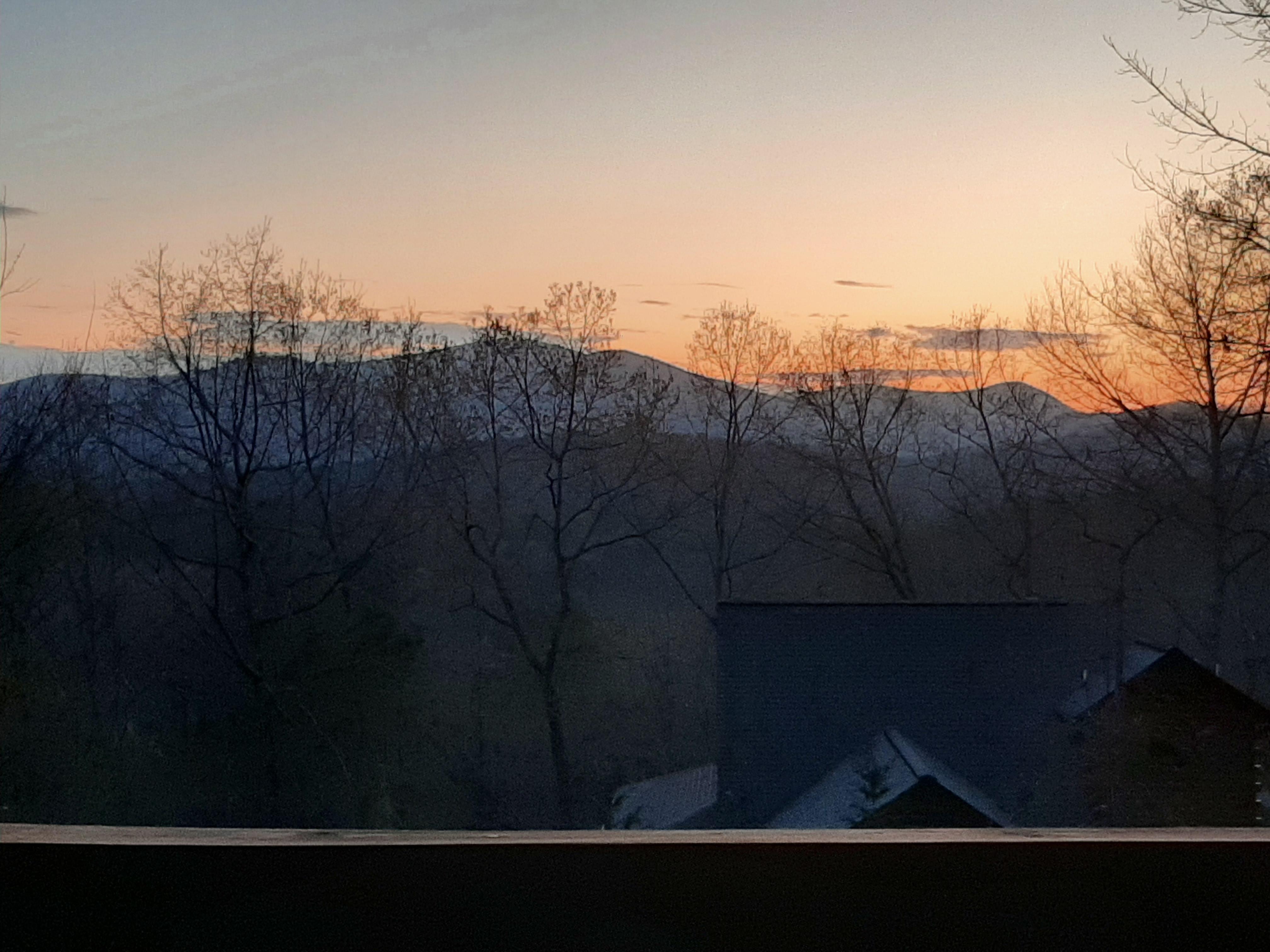 View from the back deck