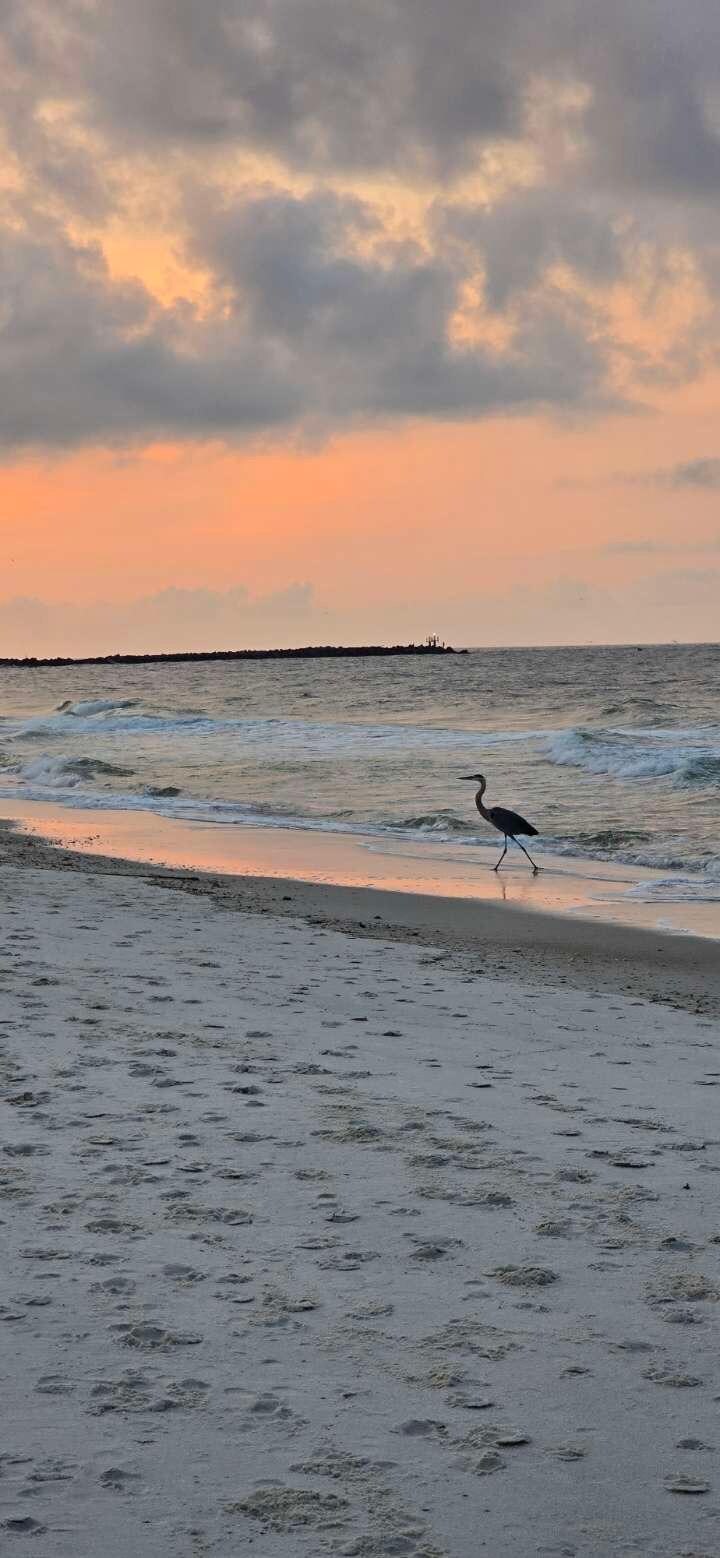 Sunrise walk along the beach