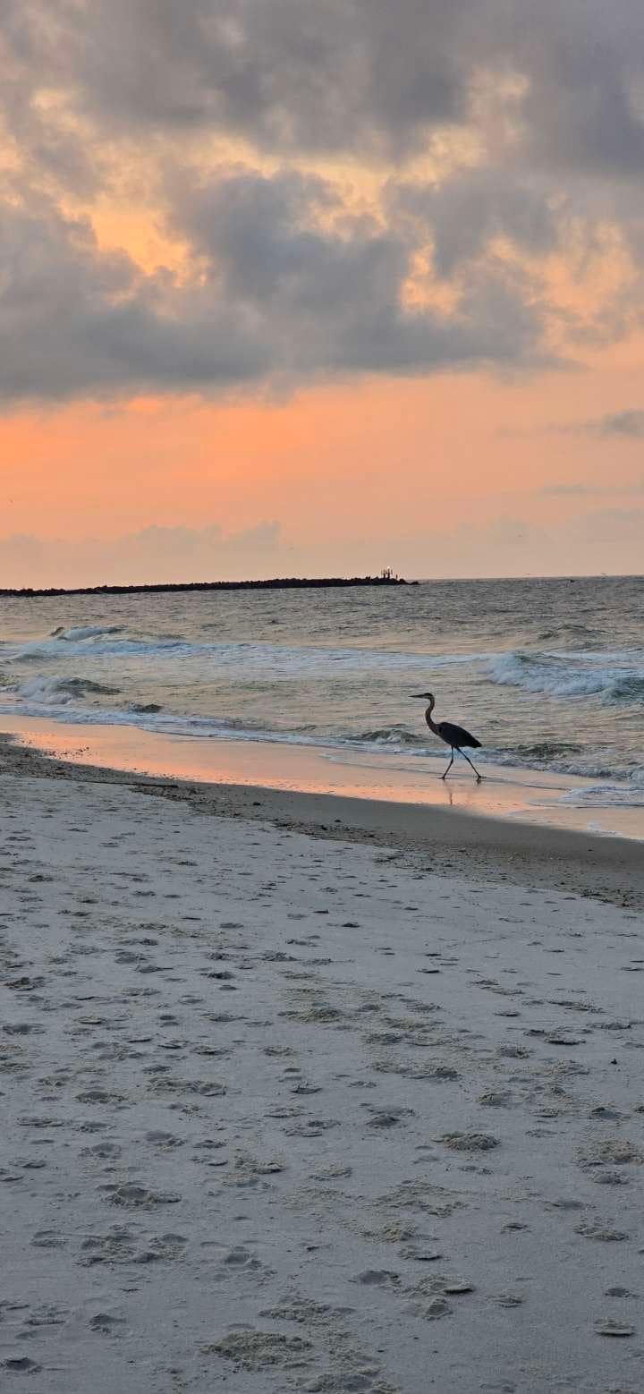 Sunrise walk along the beach