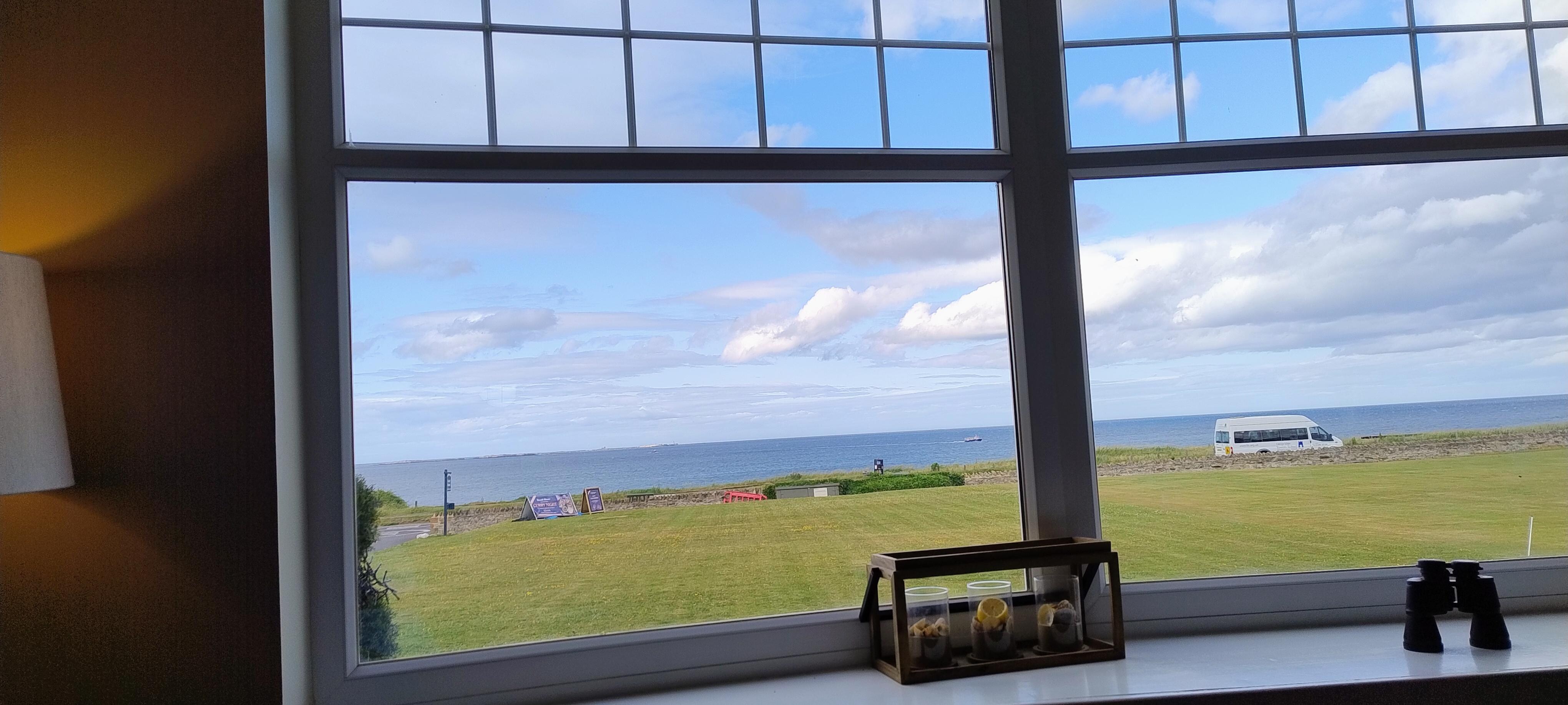 View from the bar