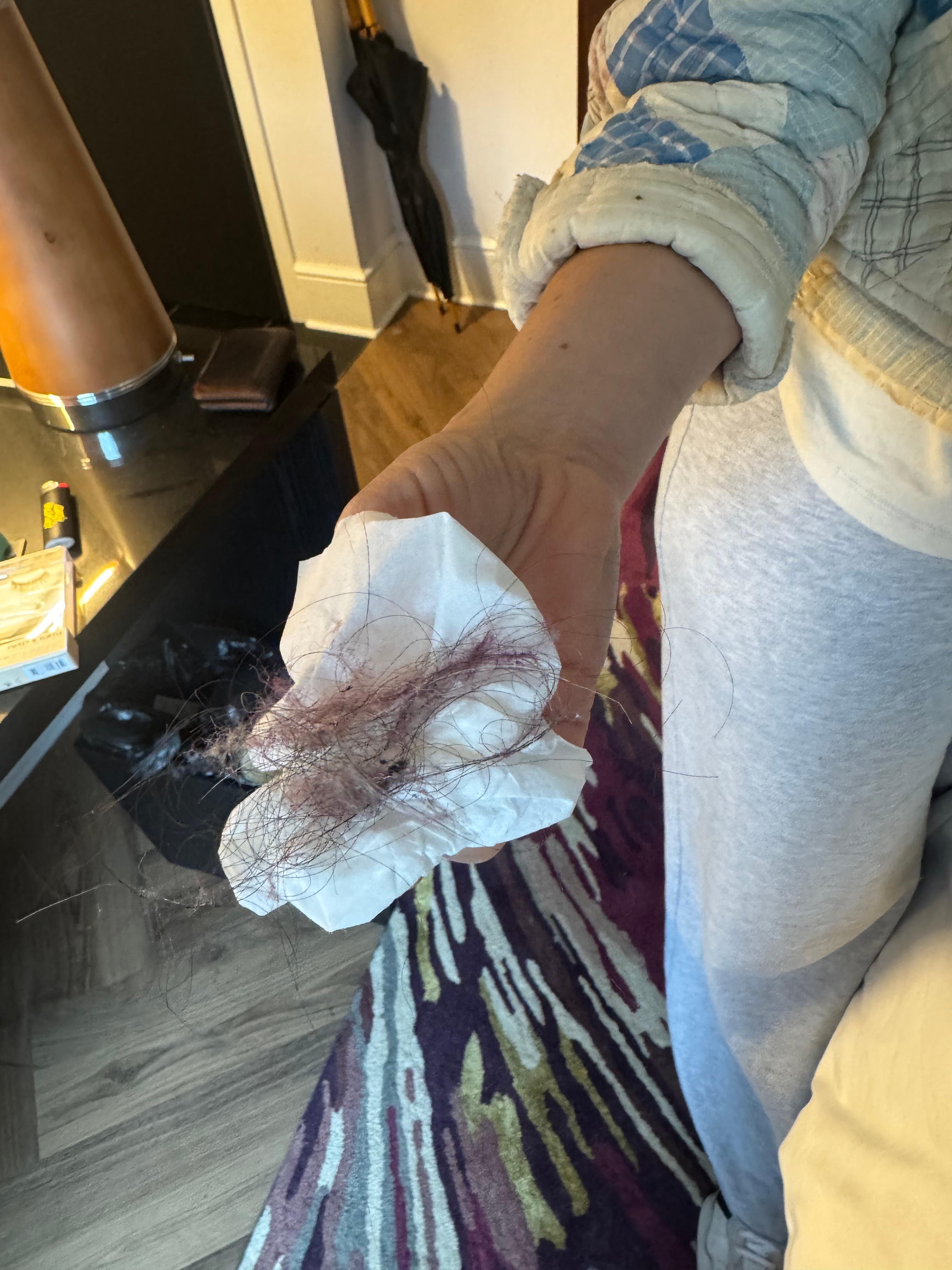 We saw hair all over our carpet and brought it to the attention of the front desk and they assured me it will be cleaned with a brush. We get back to our room that evening and this is what was still there.