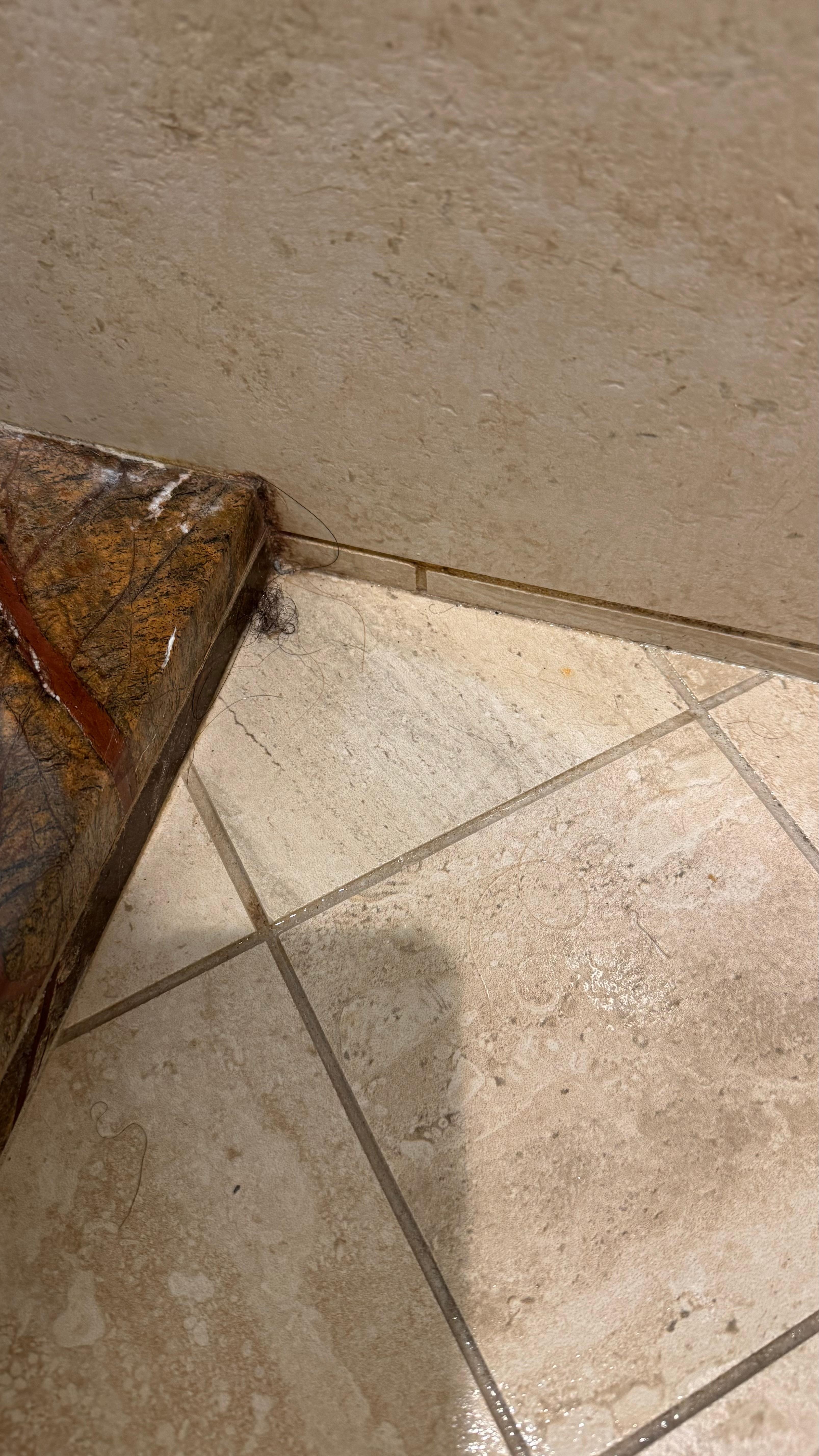 Dried hair in the shower 